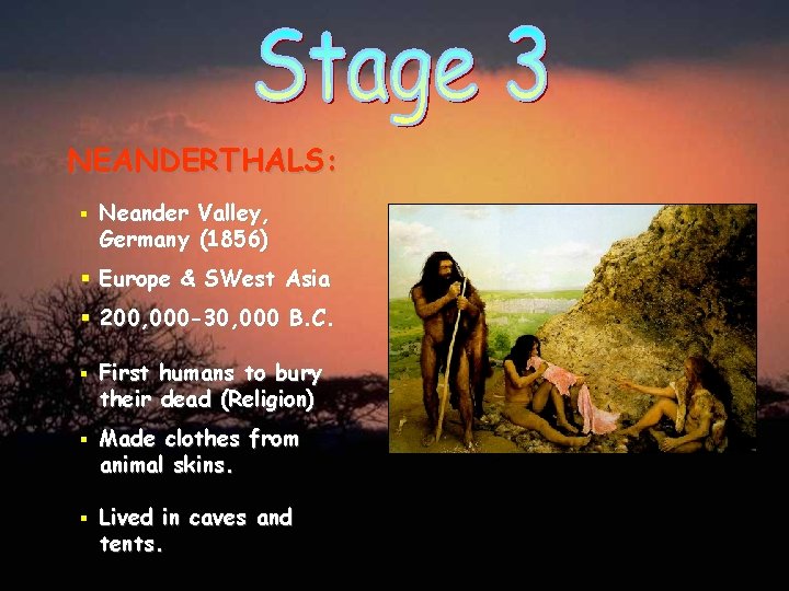 NEANDERTHALS: § Neander Valley, Germany (1856) § Europe & SWest Asia § 200, 000