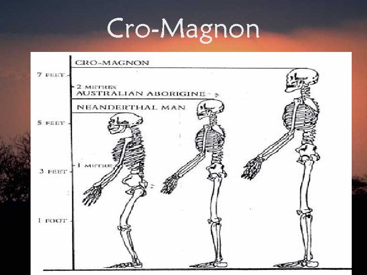 Cro-Magnon 