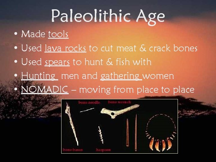 Paleolithic Age • Made tools • Used lava rocks to cut meat & crack