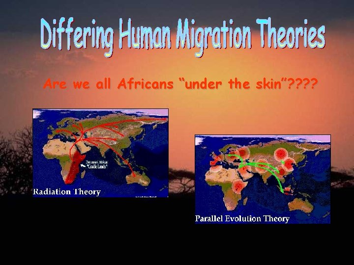 Are we all Africans “under the skin”? ? 