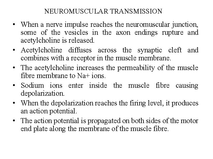 NEUROMUSCULAR TRANSMISSION • When a nerve impulse reaches the neuromuscular junction, some of the