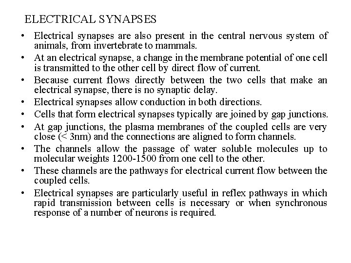 ELECTRICAL SYNAPSES • Electrical synapses are also present in the central nervous system of