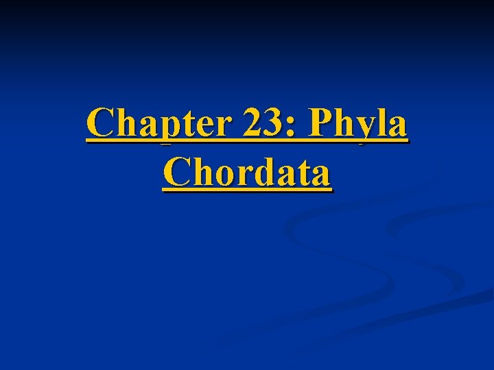 Chapter 23: Phyla Chordata 