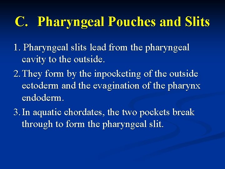 C. Pharyngeal Pouches and Slits 1. Pharyngeal slits lead from the pharyngeal cavity to