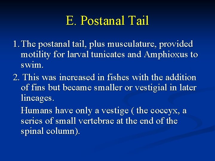 E. Postanal Tail 1. The postanal tail, plus musculature, provided motility for larval tunicates