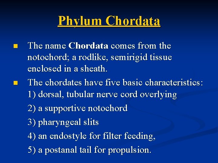 Phylum Chordata n n The name Chordata comes from the notochord; a rodlike, semirigid