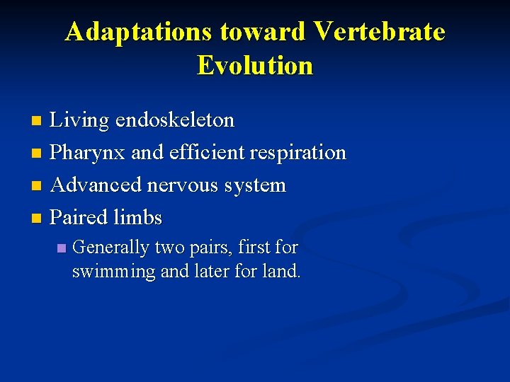 Adaptations toward Vertebrate Evolution Living endoskeleton n Pharynx and efficient respiration n Advanced nervous