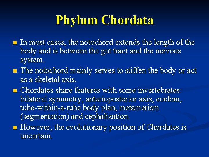 Phylum Chordata n n In most cases, the notochord extends the length of the