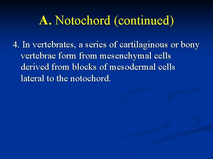 A. Notochord (continued) 4. In vertebrates, a series of cartilaginous or bony vertebrae form