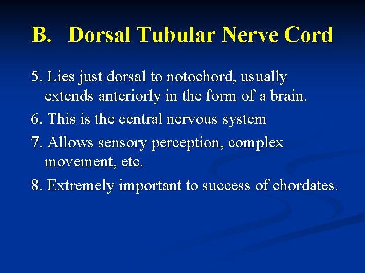 B. Dorsal Tubular Nerve Cord 5. Lies just dorsal to notochord, usually extends anteriorly