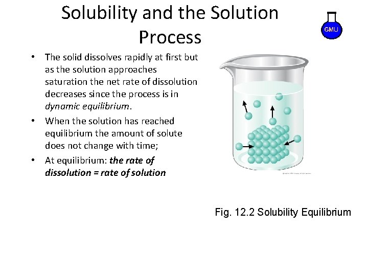 Solubility and the Solution Process • The solid dissolves rapidly at first but as