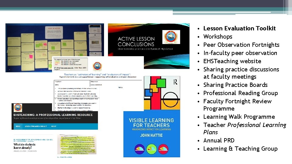 • • • • Lesson Evaluation Toolkit Workshops Peer Observation Fortnights In-faculty peer