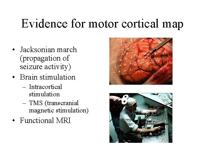 Evidence for motor cortical map • Jacksonian march (propagation of seizure activity) • Brain