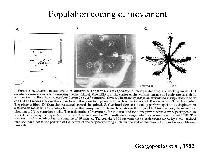 Population coding of movement Georgopoulos et al. , 1982 