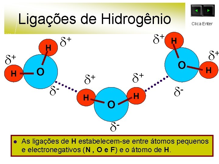 Ligações de Hidrogênio + H H O - + + + + H H
