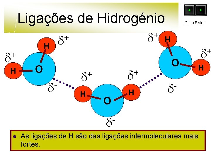 Ligações de Hidrogénio + H H O - + + + + H H