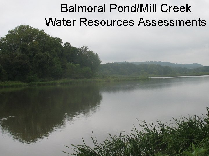Balmoral Pond/Mill Creek Water Resources Assessments Balmoral Pond Water Resources Assessments 