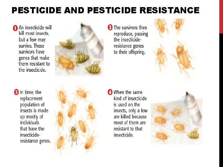 PESTICIDE AND PESTICIDE RESISTANCE PESTICIDE AND PESTICIDE RESISTANCE