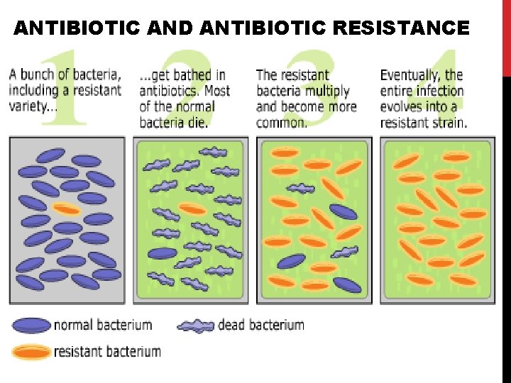 ANTIBIOTIC AND ANTIBIOTIC RESISTANCE ANTIBIOTIC AND ANTIBIOTIC RESISTANCE