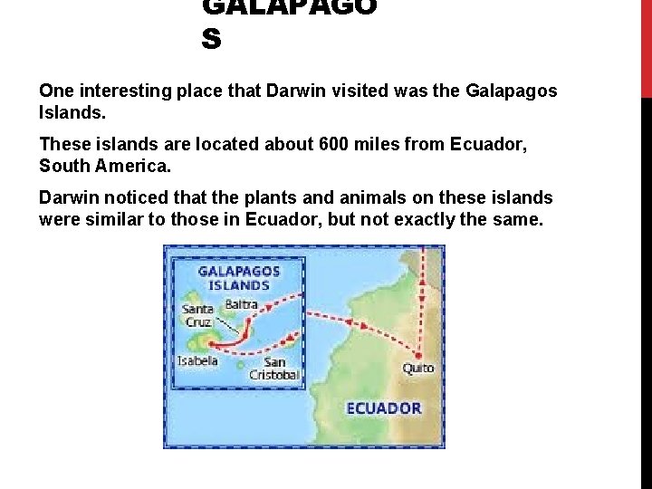 GALAPAGO S One interesting place that Darwin visited was the Galapagos Islands. These islands GALAPAGO S One interesting place that Darwin visited was the Galapagos Islands. These islands