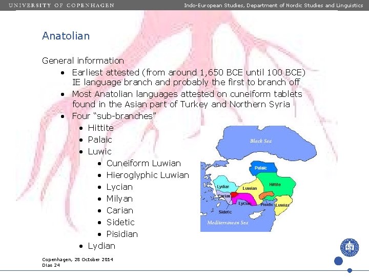 Indo-European Studies, Department of Nordic Studies and Linguistics Anatolian General information • Earliest attested Indo-European Studies, Department of Nordic Studies and Linguistics Anatolian General information • Earliest attested