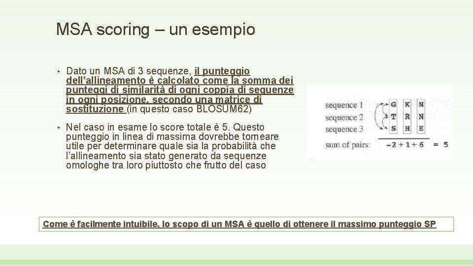 MSA scoring – un esempio • Dato un MSA di 3 sequenze, il punteggio
