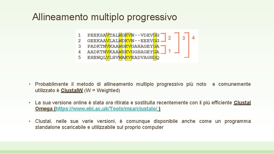 Allineamento multiplo progressivo • Probabilmente il metodo di allineamento multiplo progressivo più noto utilizzato