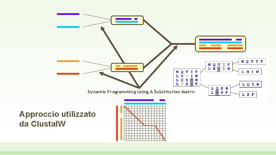 Dynamic Programming Using A Substitution Matrix Approccio utilizzato da Clustal. W 