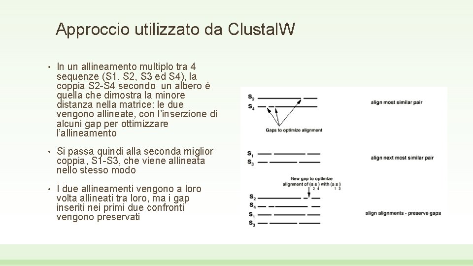 Approccio utilizzato da Clustal. W • In un allineamento multiplo tra 4 sequenze (S