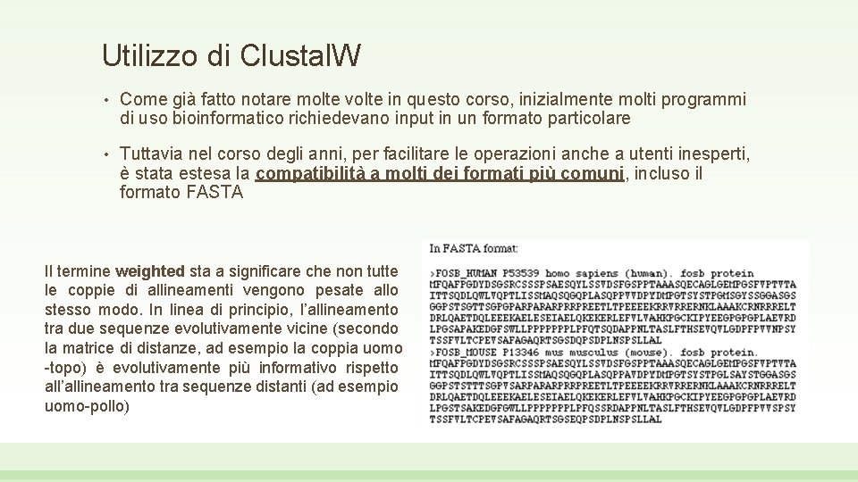 Utilizzo di Clustal. W • Come già fatto notare molte volte in questo corso,