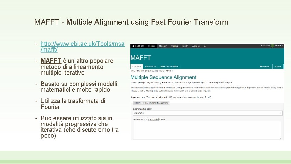 MAFFT - Multiple Alignment using Fast Fourier Transform • http: //www. ebi. ac. uk/Tools/msa