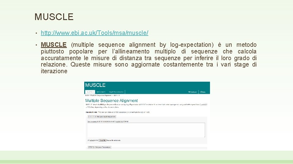 MUSCLE • http: //www. ebi. ac. uk/Tools/msa/muscle/ • MUSCLE (multiple sequence alignment by log-expectation)