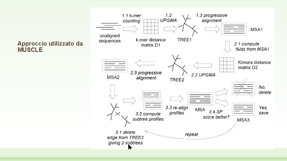 Approccio utilizzato da MUSCLE 