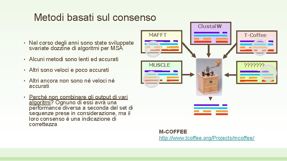 Metodi basati sul consenso Clustal. W • Nel corso degli anni sono state sviluppate