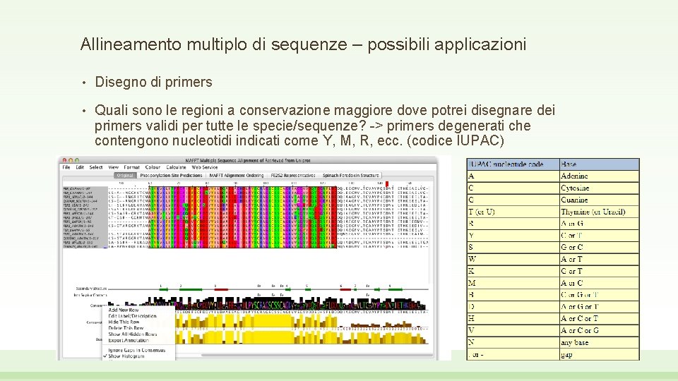 Allineamento multiplo di sequenze – possibili applicazioni • Disegno di primers • Quali sono