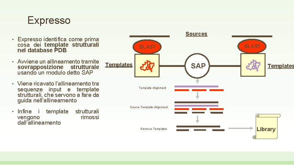 Expresso • Expresso identifica come prima cosa dei template strutturali nel database PDB •