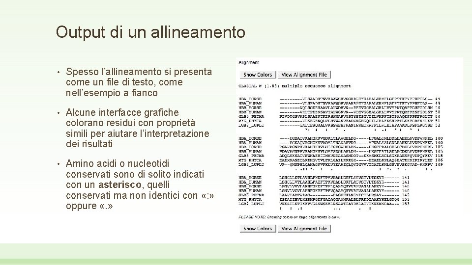 Output di un allineamento • Spesso l’allineamento si presenta come un file di testo,