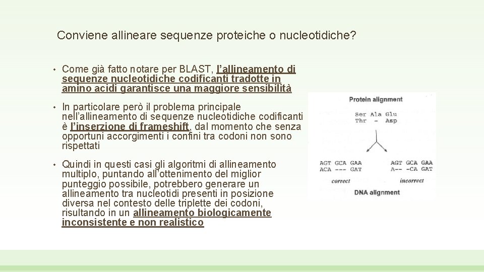 Conviene allineare sequenze proteiche o nucleotidiche? • Come già fatto notare per BLAST, l’allineamento