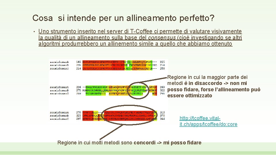 Cosa si intende per un allineamento perfetto? • Uno strumento inserito nel server di