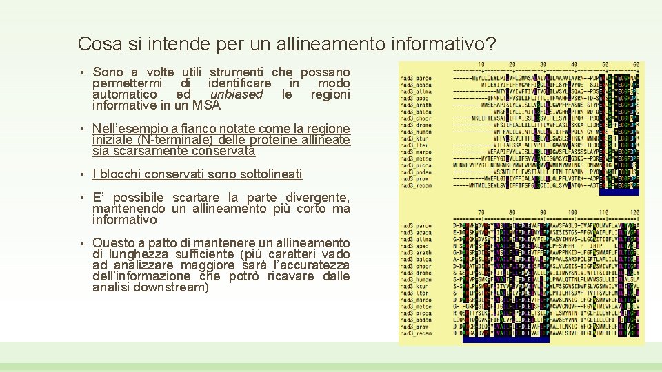 Cosa si intende per un allineamento informativo? • Sono a volte utili strumenti che