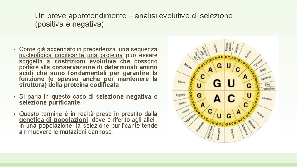 Un breve approfondimento – analisi evolutive di selezione (positiva e negativa) • Come già