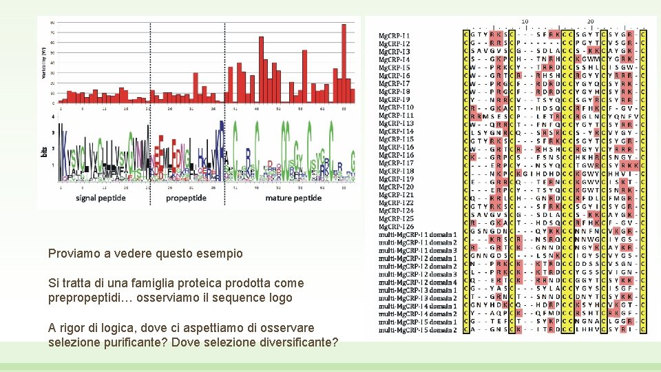 Proviamo a vedere questo esempio Si tratta di una famiglia proteica prodotta come prepropeptidi…