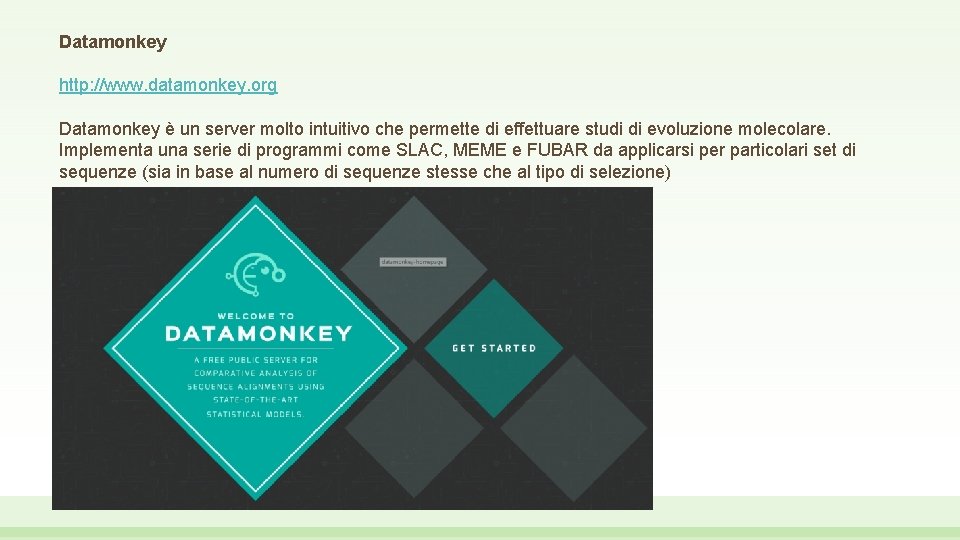 Datamonkey http: //www. datamonkey. org Datamonkey è un server molto intuitivo che permette di