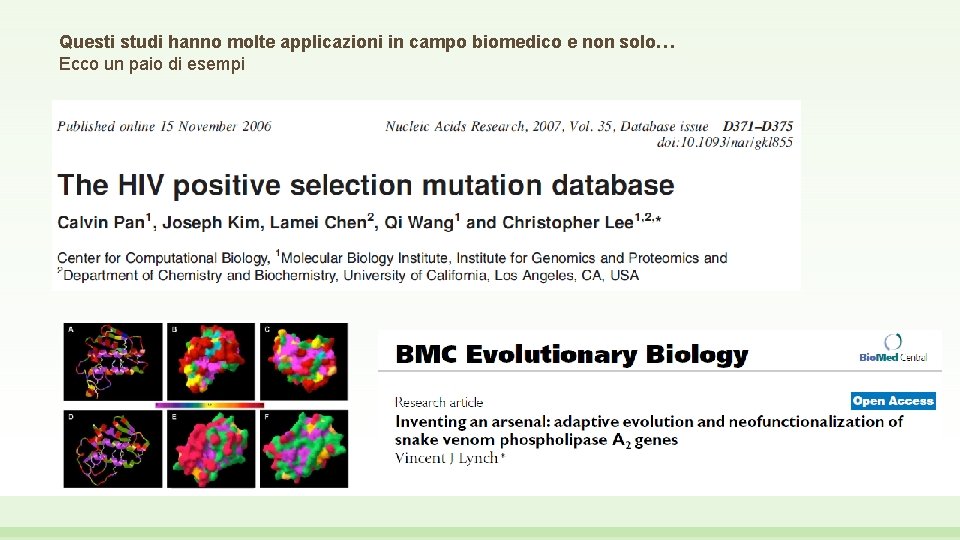 Questi studi hanno molte applicazioni in campo biomedico e non solo… Ecco un paio