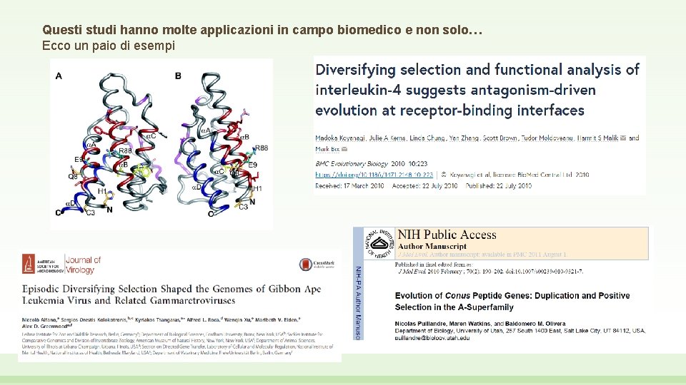 Questi studi hanno molte applicazioni in campo biomedico e non solo… Ecco un paio