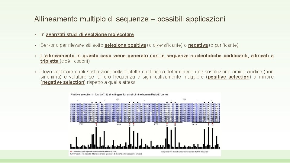 Allineamento multiplo di sequenze – possibili applicazioni • In avanzati studi di evolzione molecolare