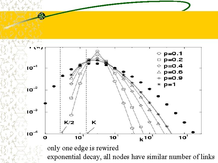 only one edge is rewired exponential decay, all nodes have similar number of links