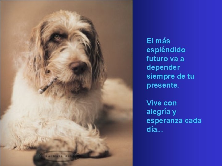 El más espléndido futuro va a depender siempre de tu presente. Vive con alegría