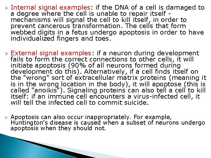 Ø Ø Ø Internal signal examples: if the DNA of a cell is damaged