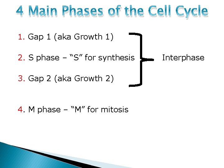 4 Main Phases of the Cell Cycle 1. Gap 1 (aka Growth 1) 2.